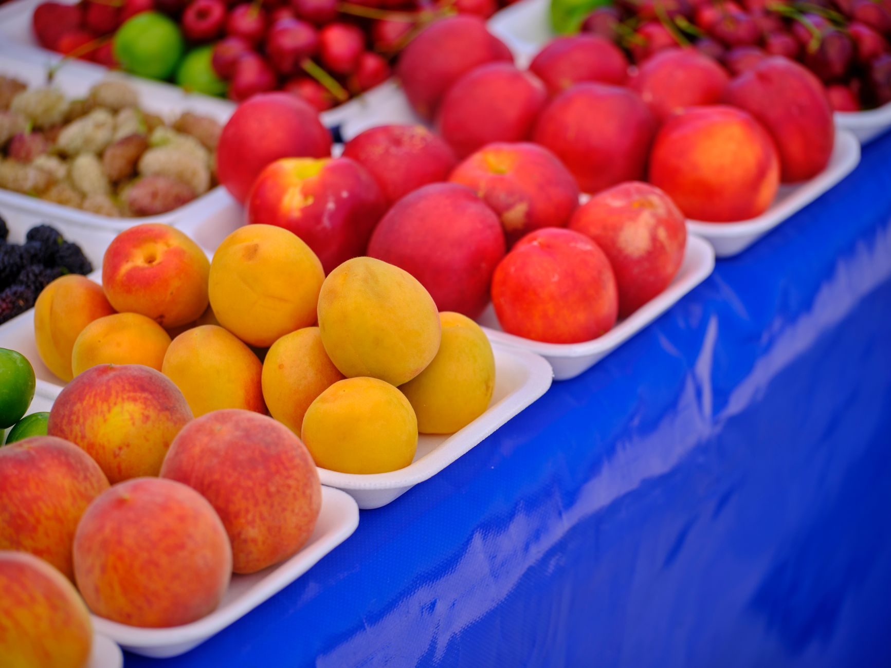 Cagettes de pêches et d'abricots sur l'étal du marché