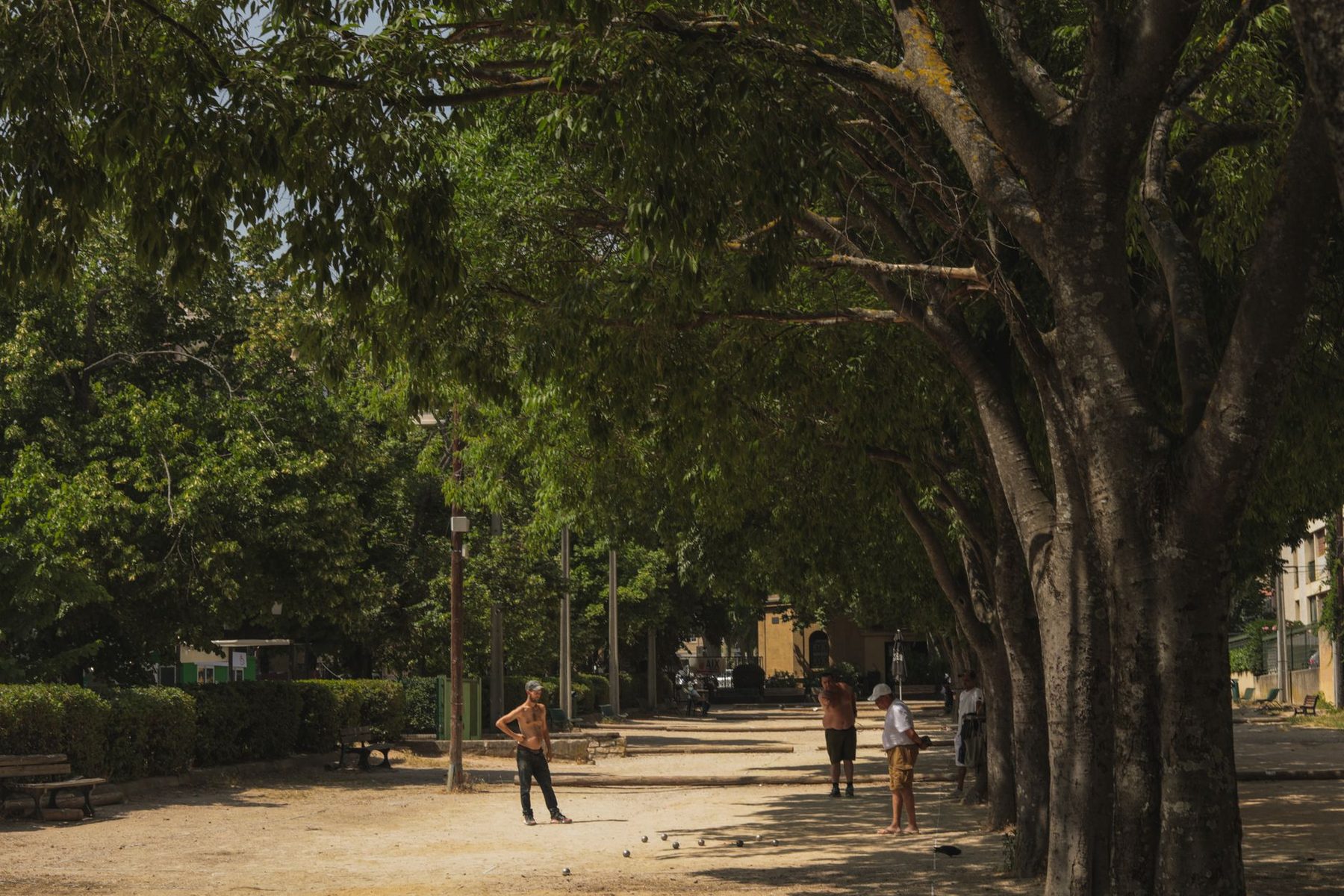 Partie de pétanque à l'ombre des platanes